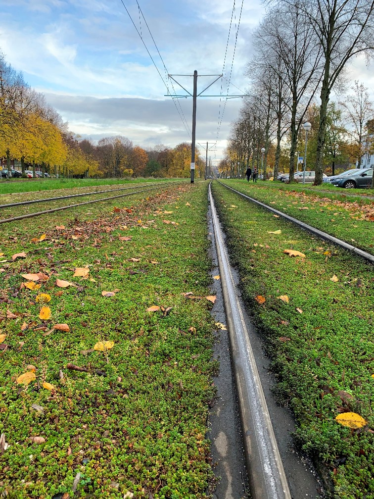 Lichtwiesenbahn